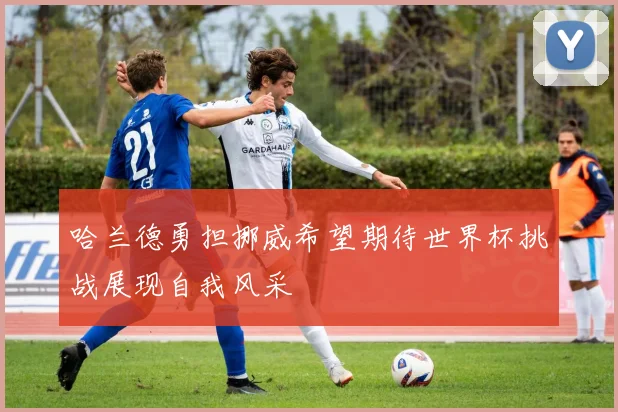 哈兰德勇担挪威希望期待世界杯挑战展现自我风采